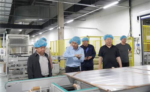 河北省科技廳副廳長張永強一行赴英利發(fā)展調(diào)研產(chǎn)業(yè)科技創(chuàng)新情況